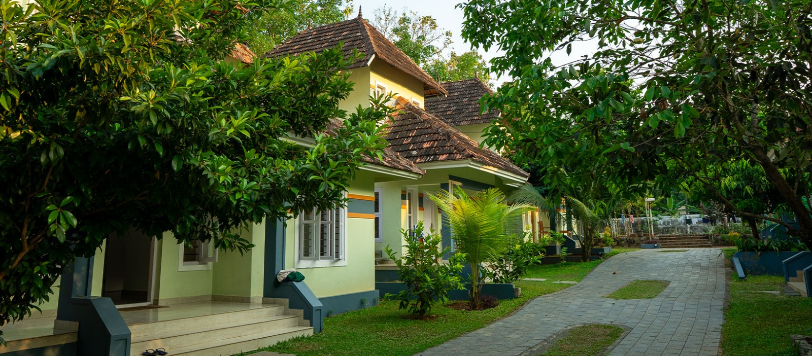 Low Back Pain Treatment in Ayurveda