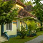 Digestive Disorders Treatment in Ayurveda