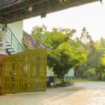 Low Back Pain Treatment in Ayurveda